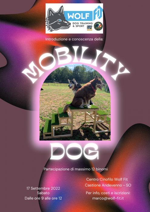 Introduzione alla Mobility Dog 